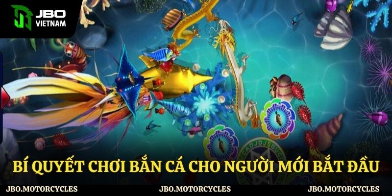 Bỏ túi kinh nghiệm chơi bắn cá hay Bỏ túi kinh nghiệm chơi bắn cá hay