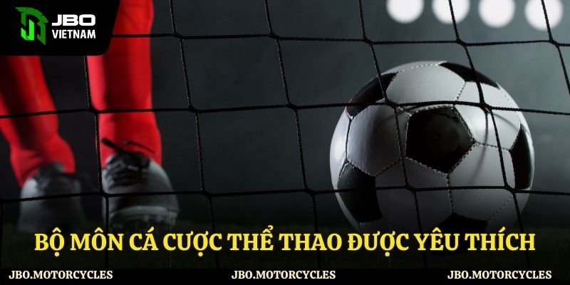 Bộ môn cá cược thể thao phổ biến Bộ môn cá cược thể thao phổ biến